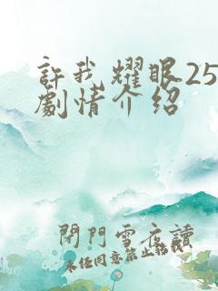 许我耀眼25集剧情介绍