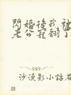 闪婚后我被上司老公宠翻了免费阅读