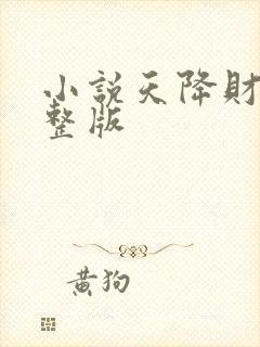 小说天降财运完整版