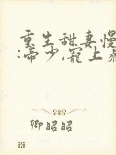 重生甜妻慢点撩:帝少,宠上瘾