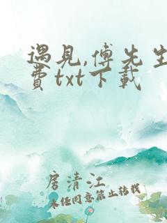 遇见,傅先生免费txt下载