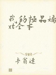 我的极品娇妻txt全本