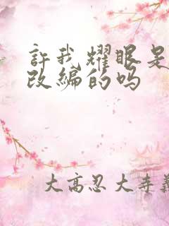 许我耀眼是小说改编的吗