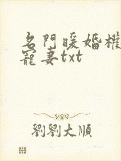 名门暖婚权爷盛宠妻txt