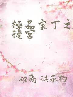 极品家丁之风流后宫