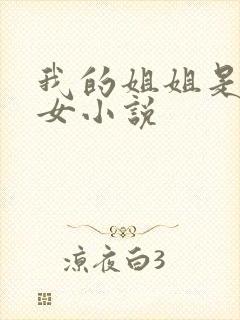 我的姐姐是大美女小说