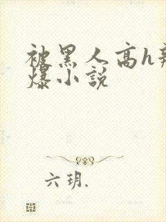 被黑人高h辣文爆小说