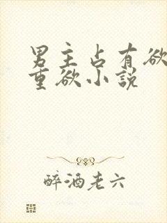 男主占有欲强且重欲小说