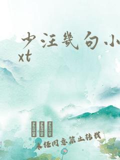 少汪几句小说txt