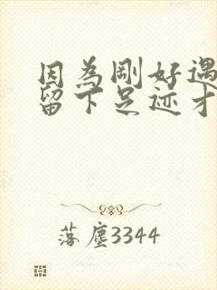 因为刚好遇见你留下足迹才美歌词