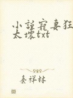 小说宠妻狂魔别太坏txt