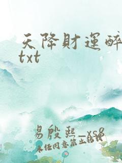 天降财运醉不乖txt