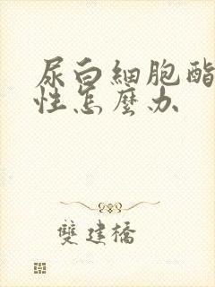 尿白细胞酯酶阳性怎么办