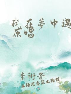 我在梦中遇见你原唱