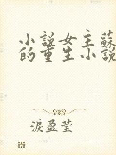 小说女主苏清宁的重生小说