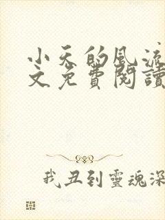 小天的风流史全文免费阅读最新章节