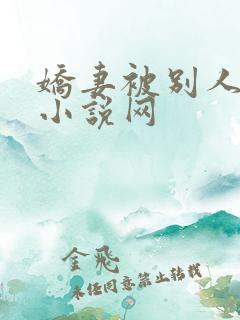 娇妻被别人调教小说网