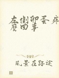 左侧卵蛋疼是怎么回事