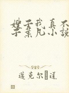 嫂子我真不是傻子叶凡小说全文免费阅读