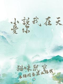 小说我在天堂说爱你
