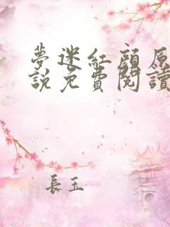 梦迷红颜原著小说免费阅读