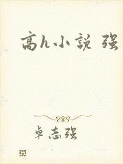 高h小说 强