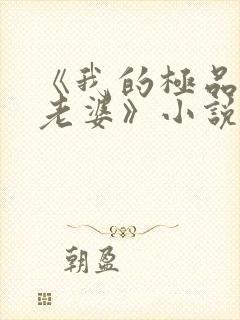 《我的极品美女老婆》小说