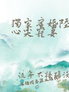 独家蜜婚陆少的心尖宠妻