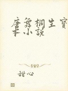 唐舞桐生宝宝话本小说