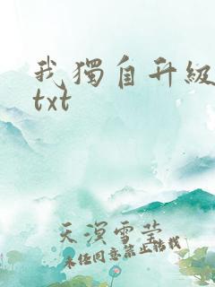 我独自升级原著txt