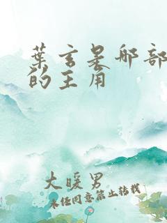 叶玄是哪部小说的主角