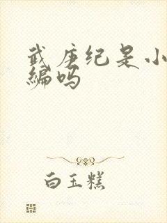 武庚纪是小说改编吗