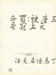 斗罗:被唐三哥哥宠上天