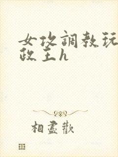 女攻调教玩弄摄政王h