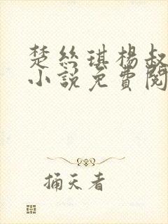 楚丝琪杨叔主角小说免费阅读全文美人似香