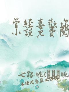 曾经喜欢你的我小说免费阅读