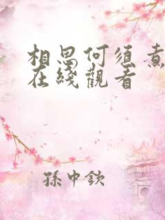 相思何须煮余年在线观看