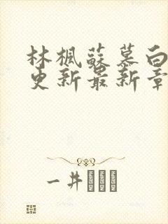 林枫苏慕白刚刚更新最新章节