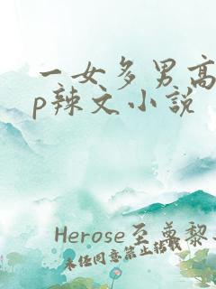 一女多男高hnp辣文小说