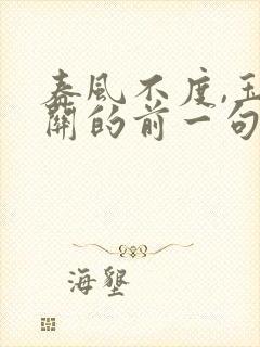 春风不度,玉门关的前一句是什么?