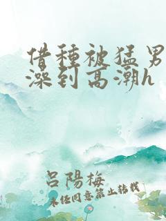 借种被猛男轮流澡到高潮h