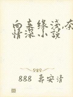 向来缘浅,奈何情深小说
