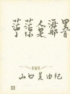 茫茫人海里遇见了你是哪首歌