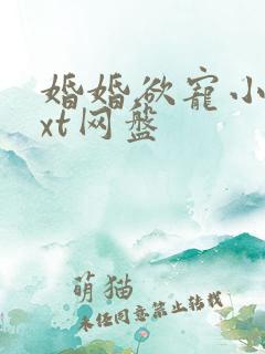 婚婚欲宠小说txt网盘