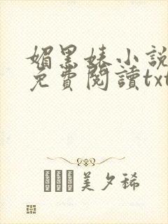 媚黑婊小说全文免费阅读txt