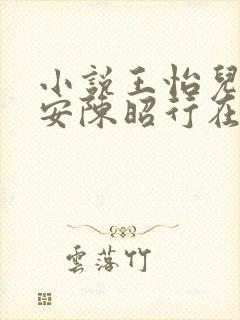 小说王怡儿陈季安陈昭行在线阅读