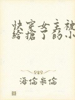 快穿女主被反派给抢了的小说