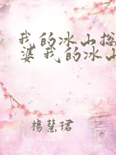 我的冰山总裁老婆 我的冰山总裁老婆