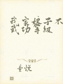 我家娘子不对劲武功等级