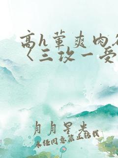 高h荤爽肉欲文〈三攻一受〉视频